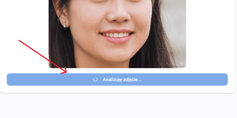 Ekran ładowania z komunikatem Analizuję zdjęcie